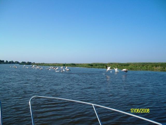 delta rosu 2008 - sany0587.JPG